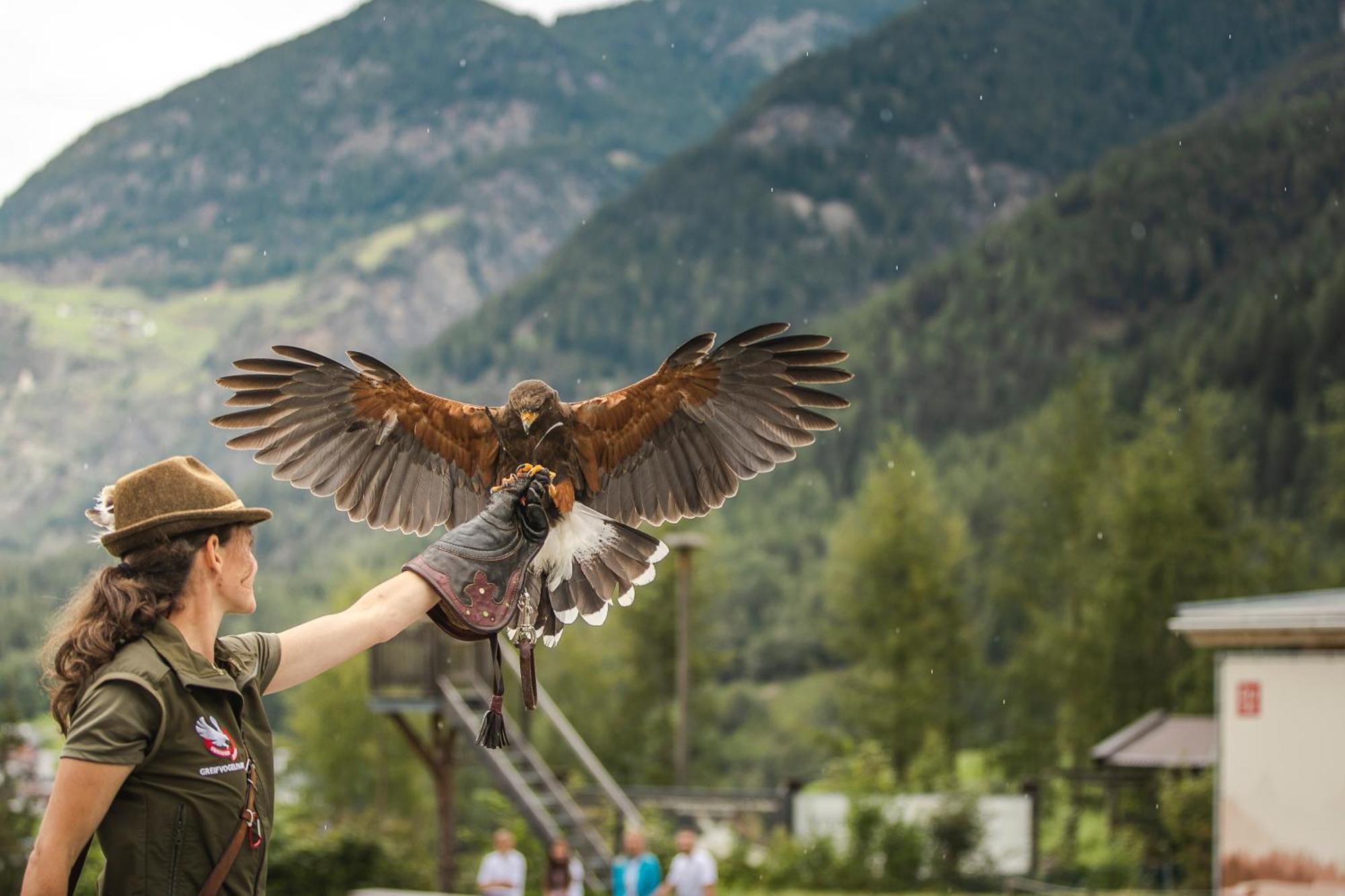 Ferienhaus Tirol Im Oetztal امهاوسن المظهر الخارجي الصورة