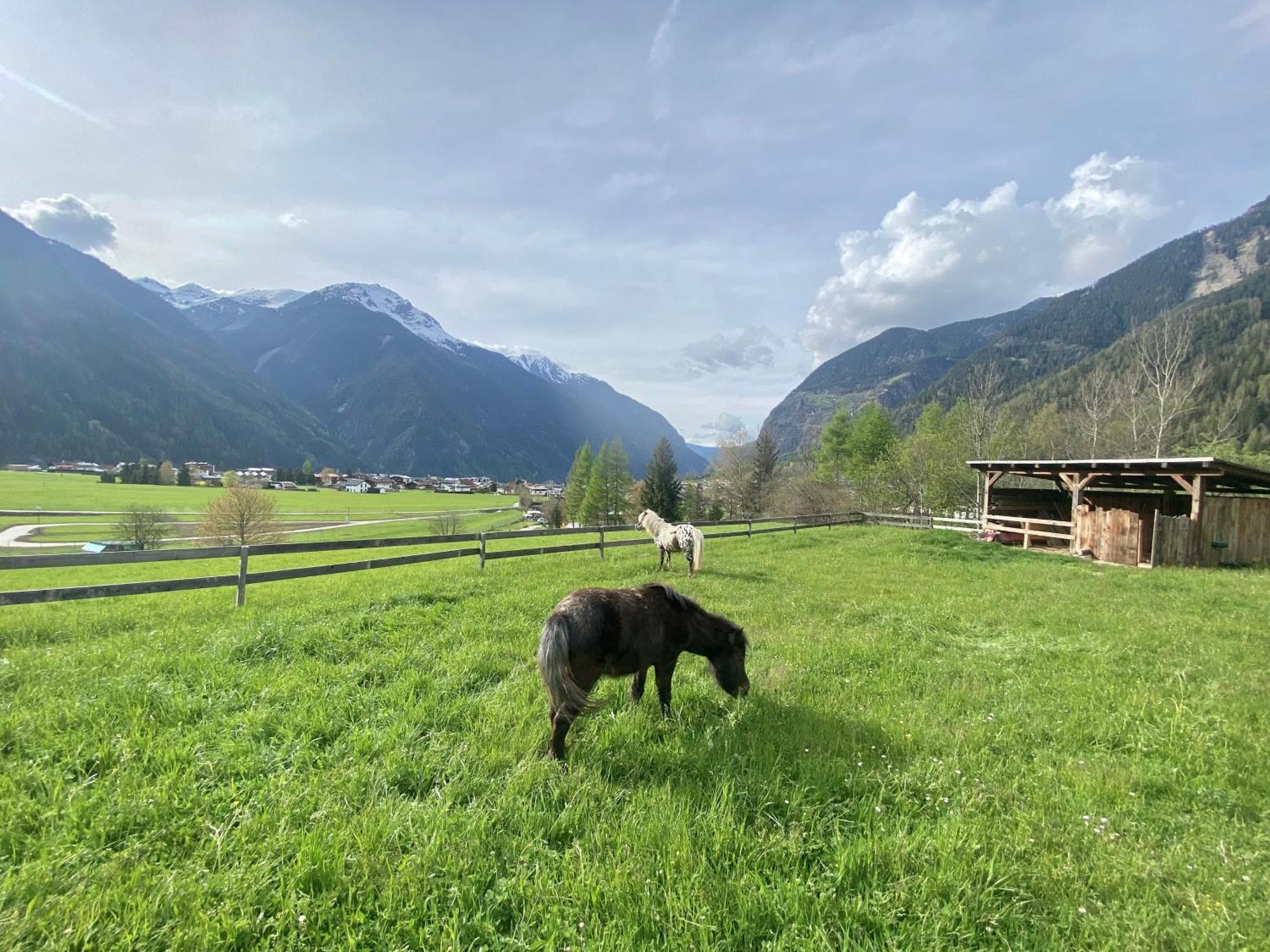 Ferienhaus Tirol Im Oetztal امهاوسن المظهر الخارجي الصورة